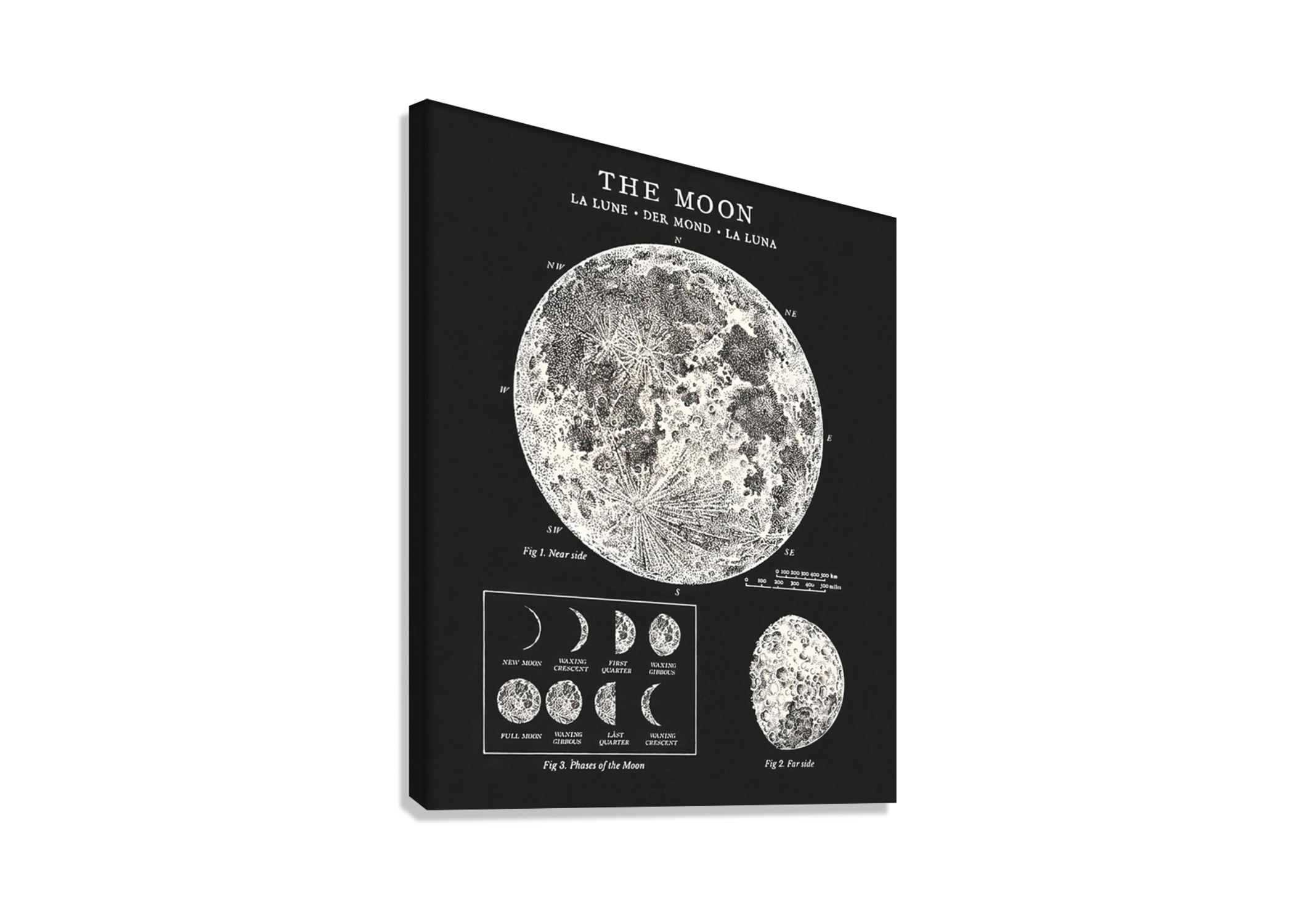 THE MOON ASTRONOMY CANVAS POSTER