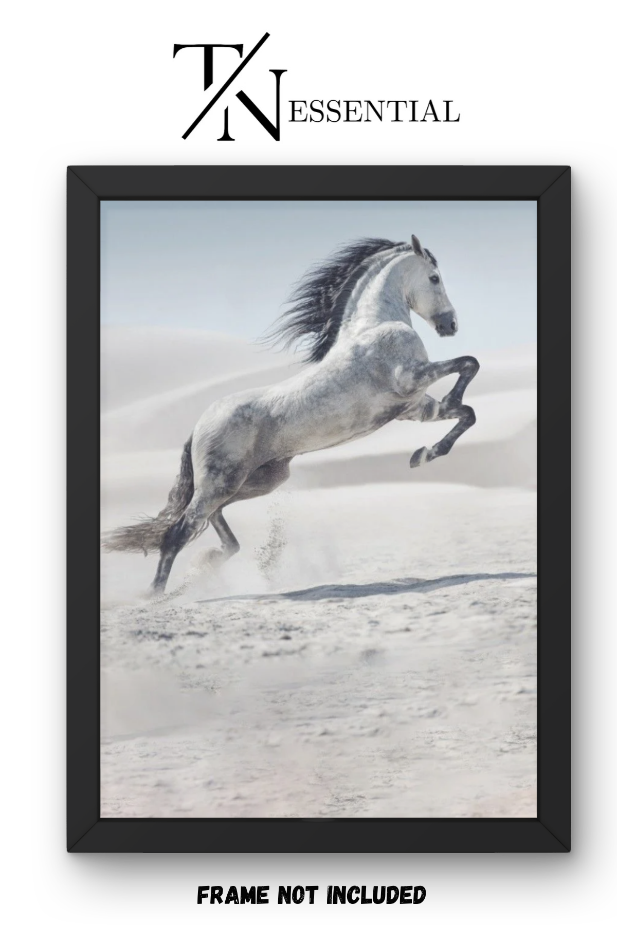 ARABIAN HORSE SAND DUNES CANVAS POSTER