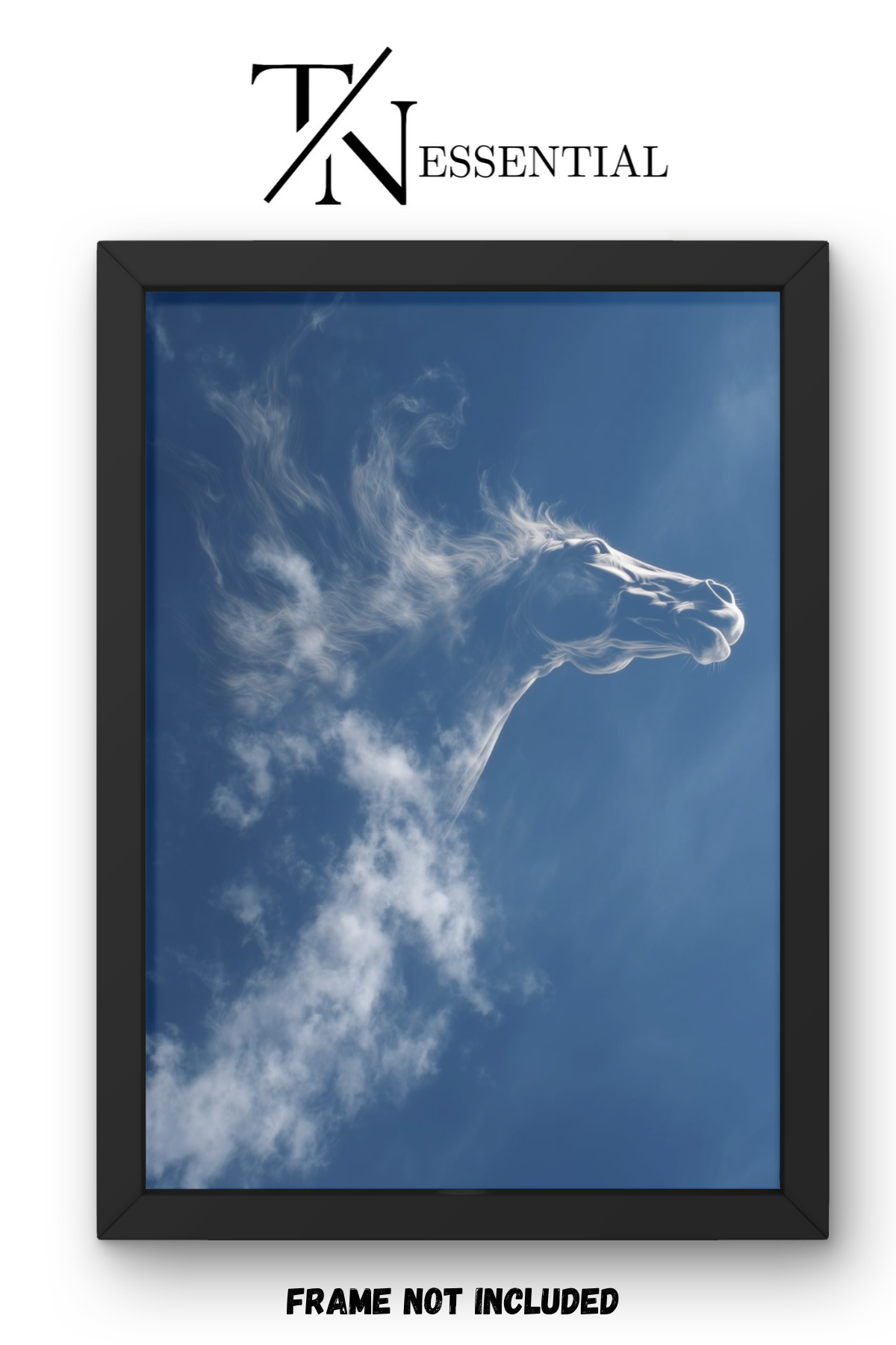 BLUE SKY HORSE CANVAS POSTER