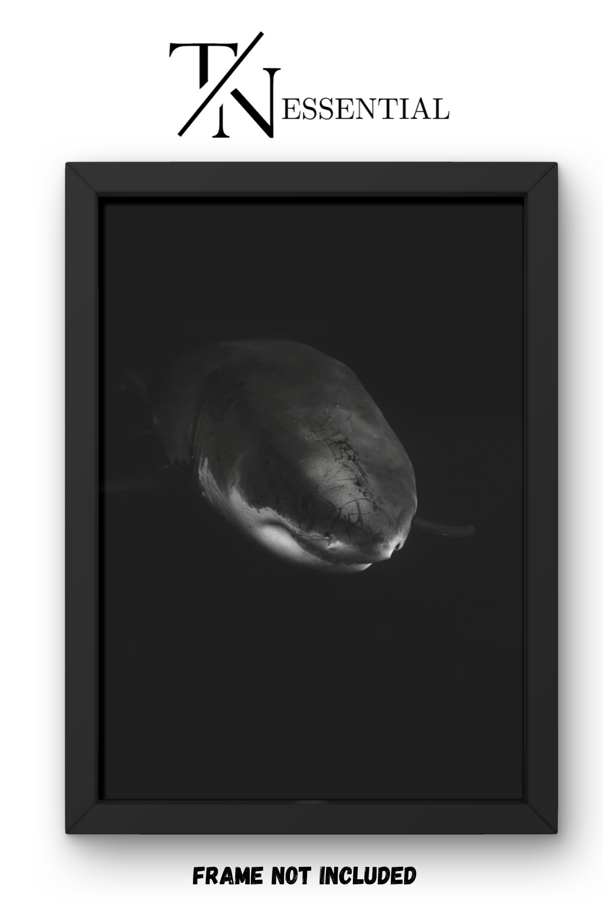 DEEP SEA PREDATOR CANVAS POSTER