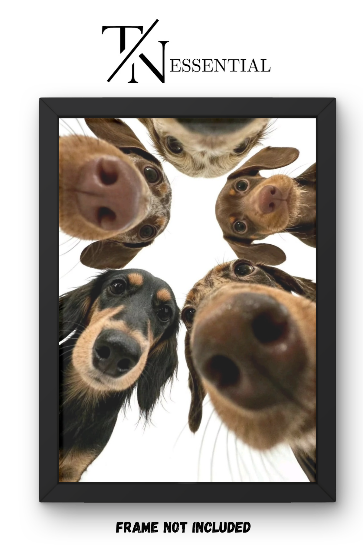 CURIOUS PUPPY FACES CANVAS POSTER