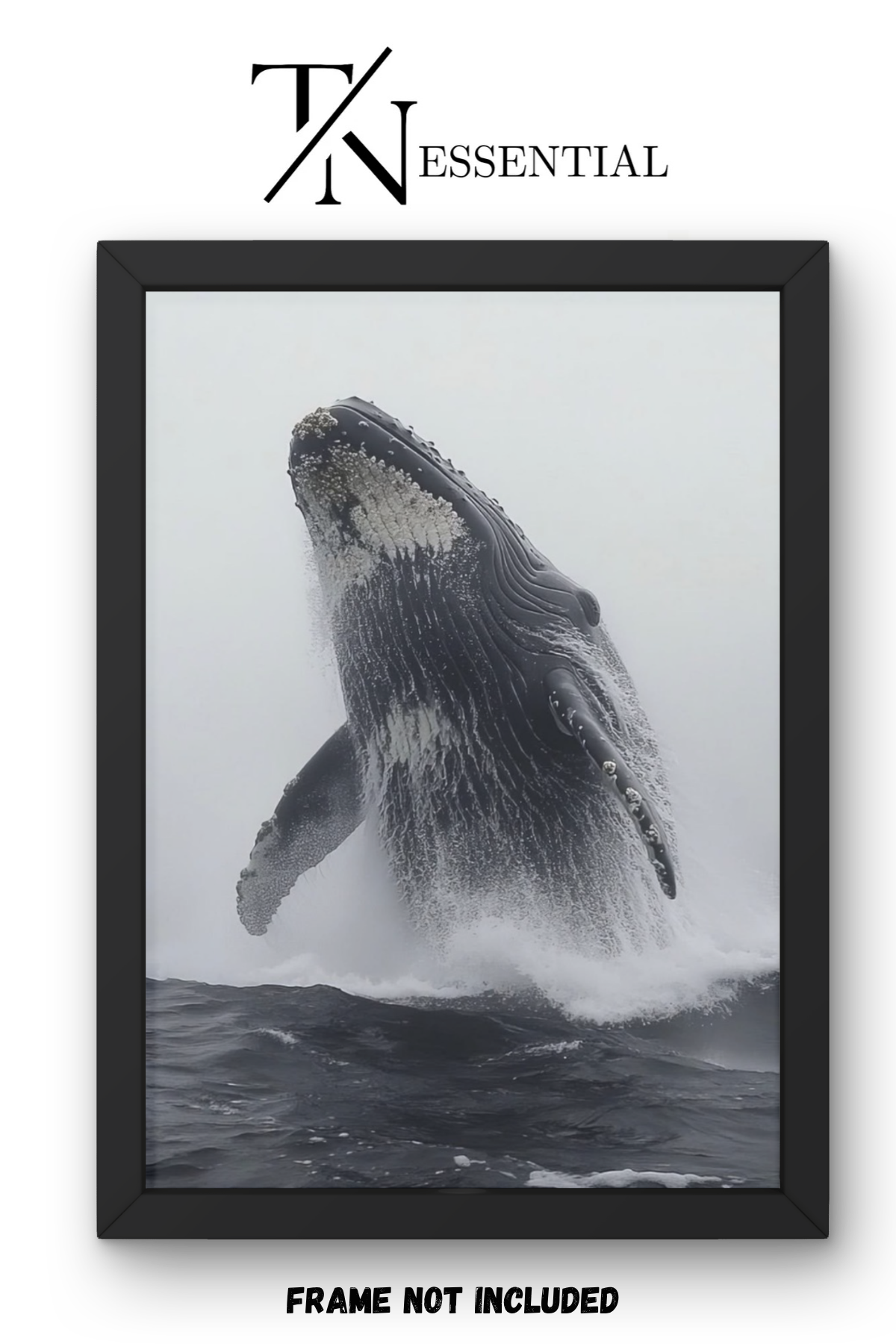 HUMPBACK WHALE SPLASH CANVAS POSTER