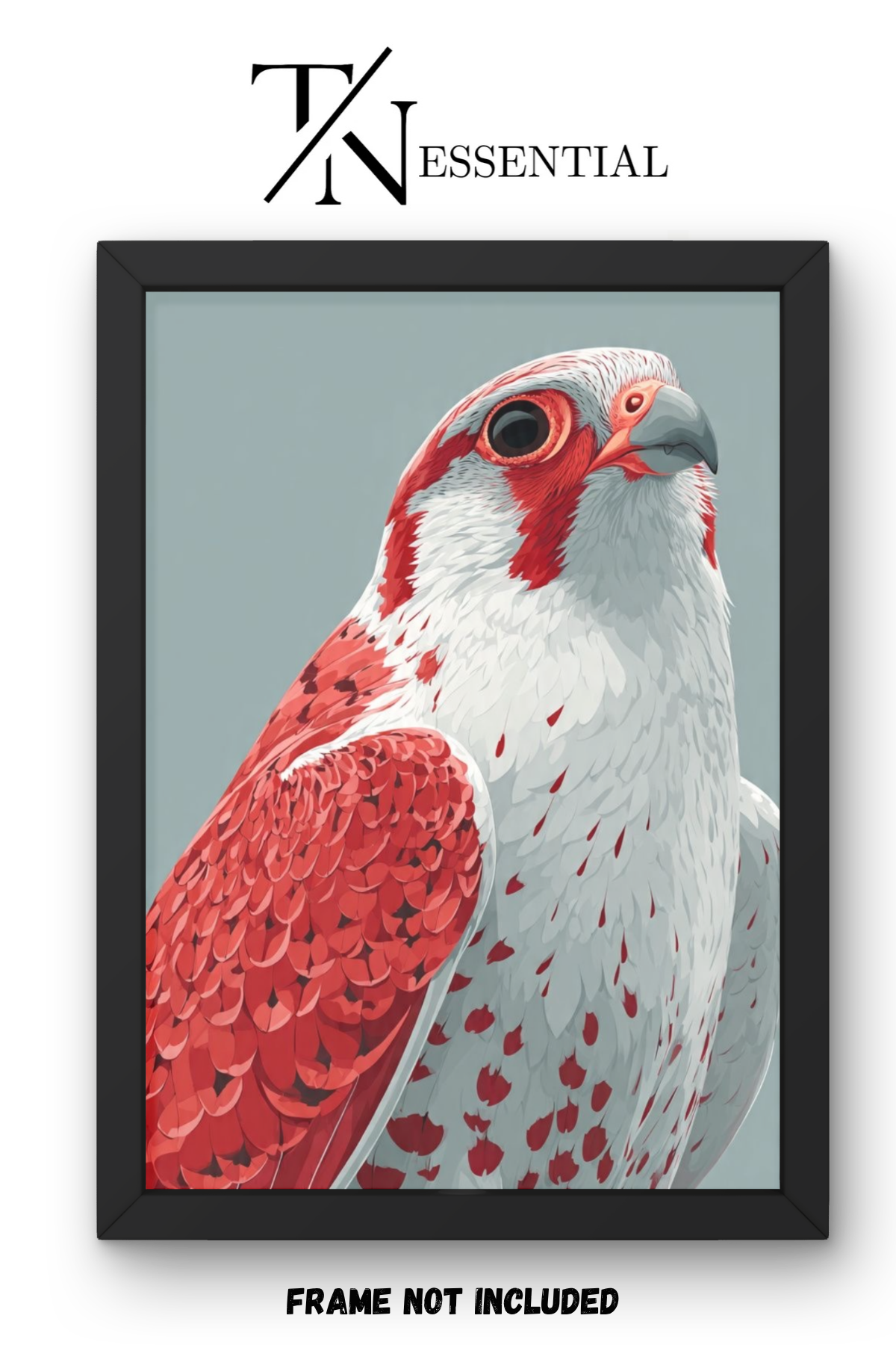 RED AND WHITE FALCON CANVAS POSTER