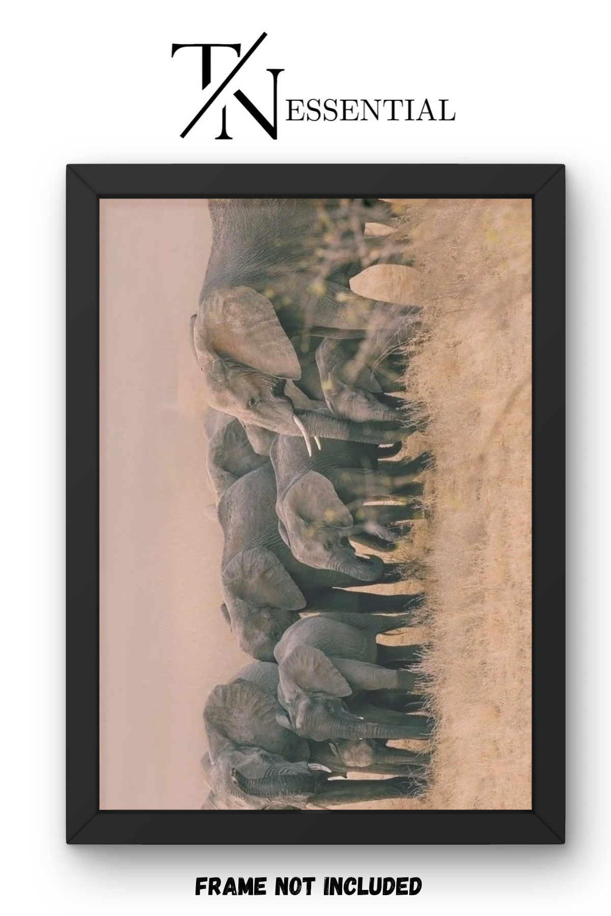 ELEPHANT HERD SAFARI CANVAS POSTER
