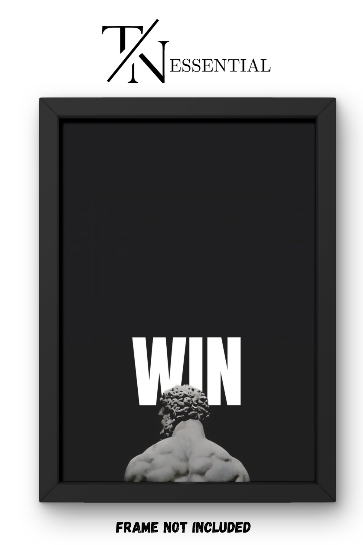 DARK VICTORY MINDSET CANVAS POSTER