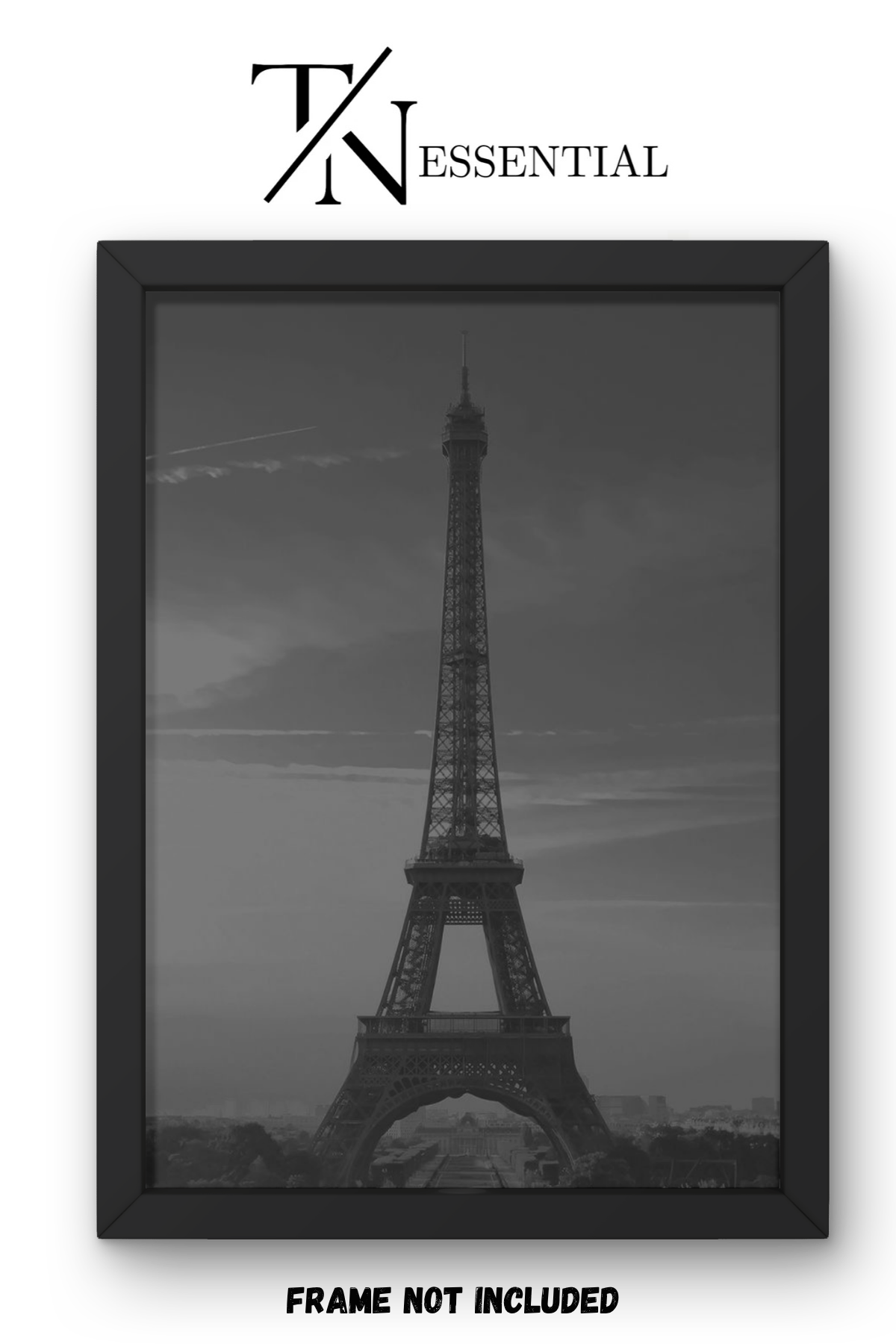 SHADOWS OF PARIS CANVAS POSTER