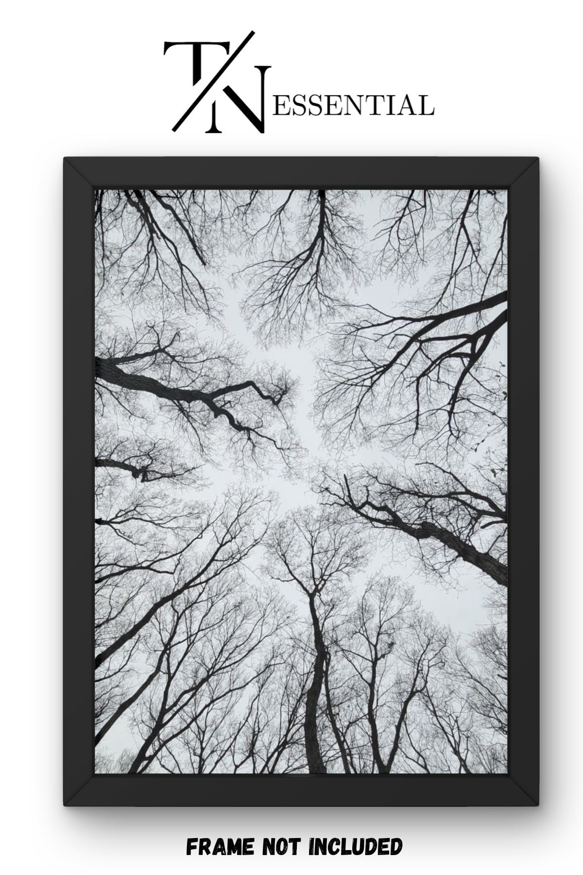FOREST VEINS ABOVE CANVAS POSTER