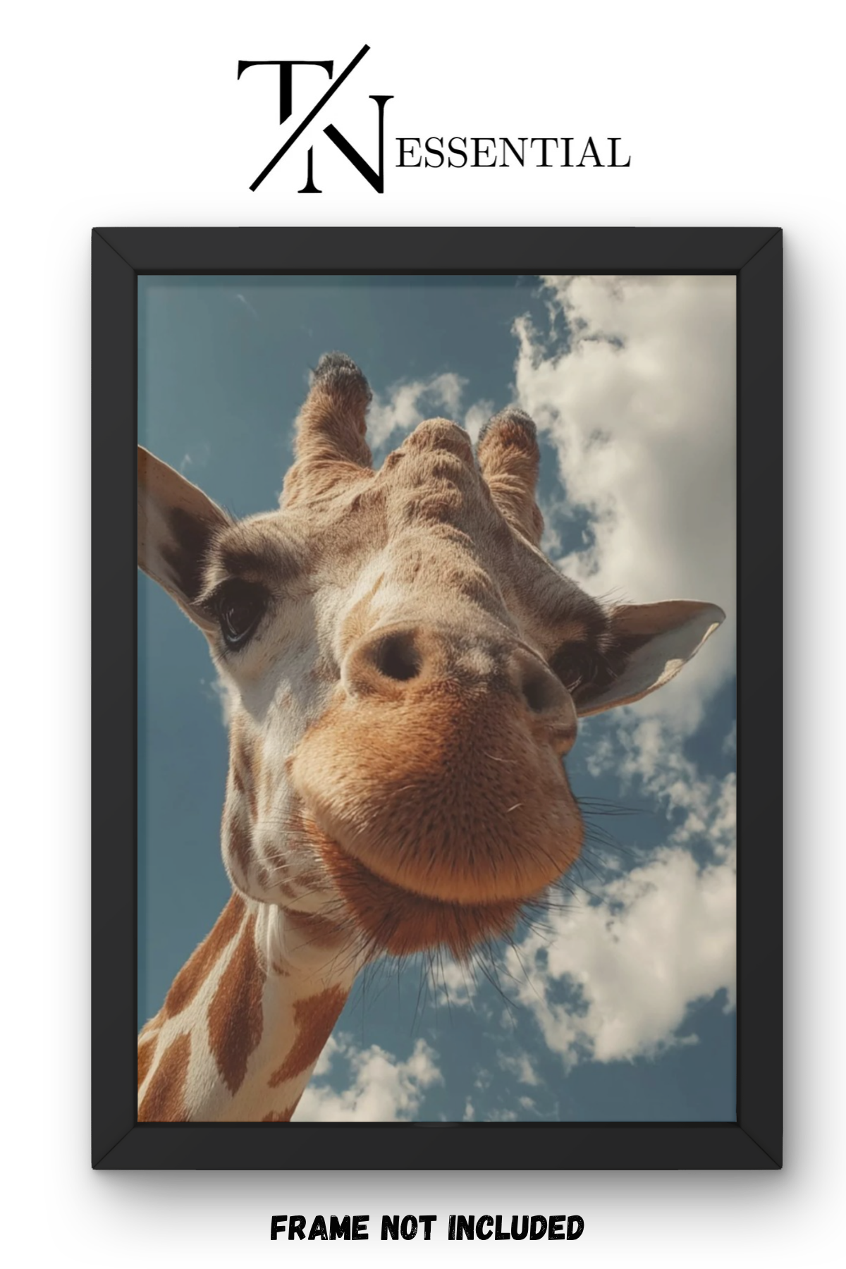 CURIOUS SAFARI FACE CANVAS POSTER
