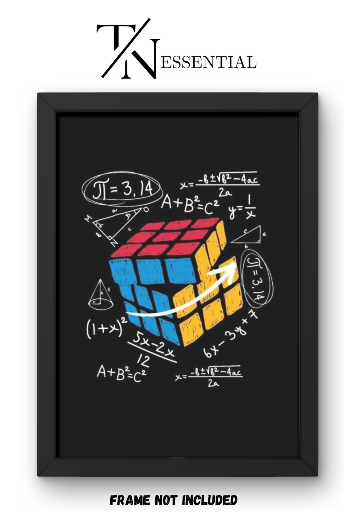 MATH GENIUS RUBIKS CUBE CANVAS POSTER