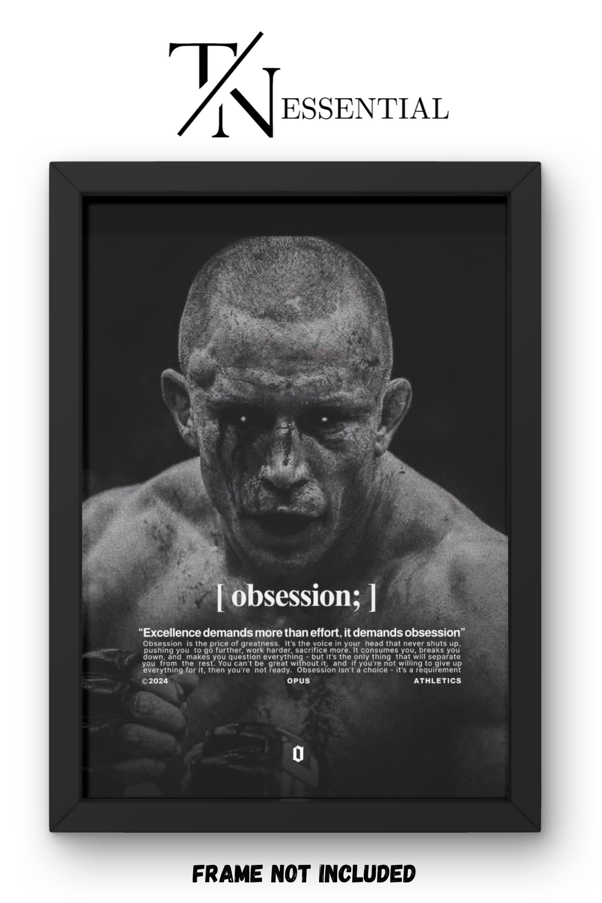 OBSESSION ELITE MINDSET TRAINING CANVAS POSTER
