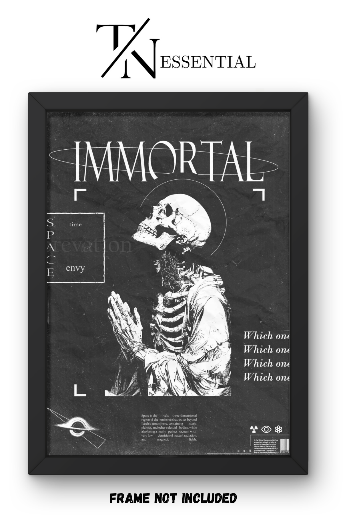 IMMORTAL EXISTENCE DARK PHILOSOPHY SKELETON AESTHETIC CANVAS POSTER