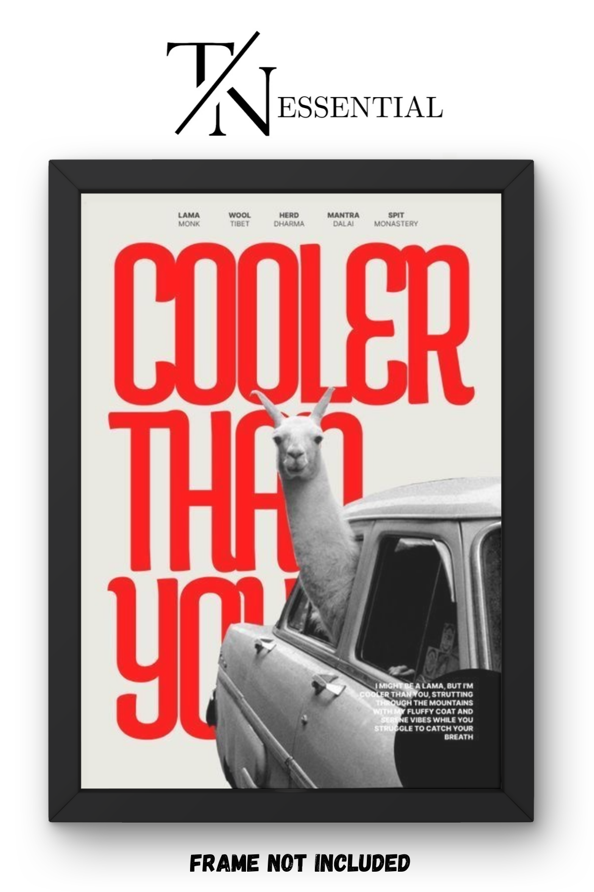 COOLER THAN YOU LLAMA ATTITUDE VINTAGE CAR AESTHETIC CANVAS POSTER
