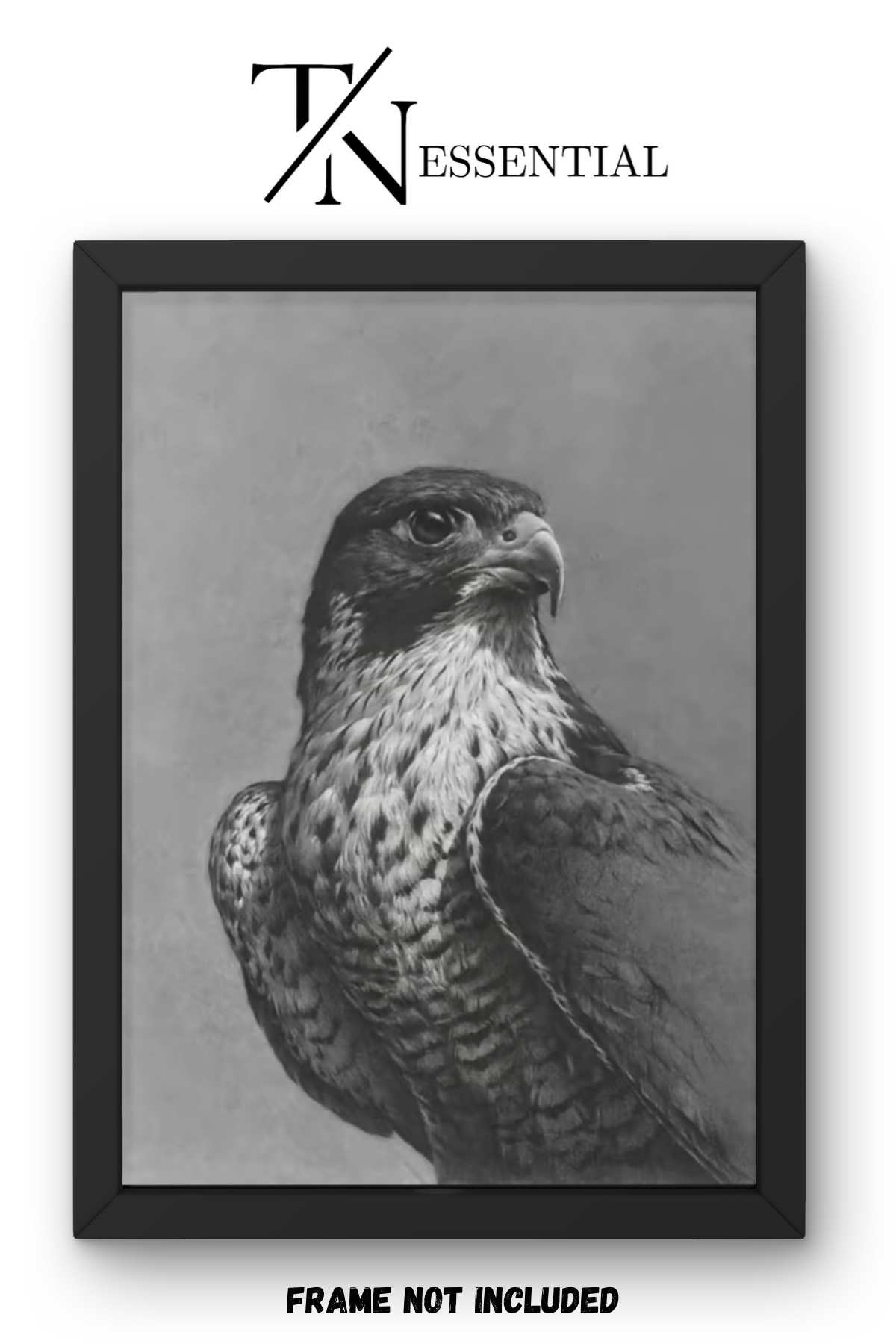 FALCON MAJESTY SHARP VISION AND SPEED WILDLIFE ART CANVAS POSTER