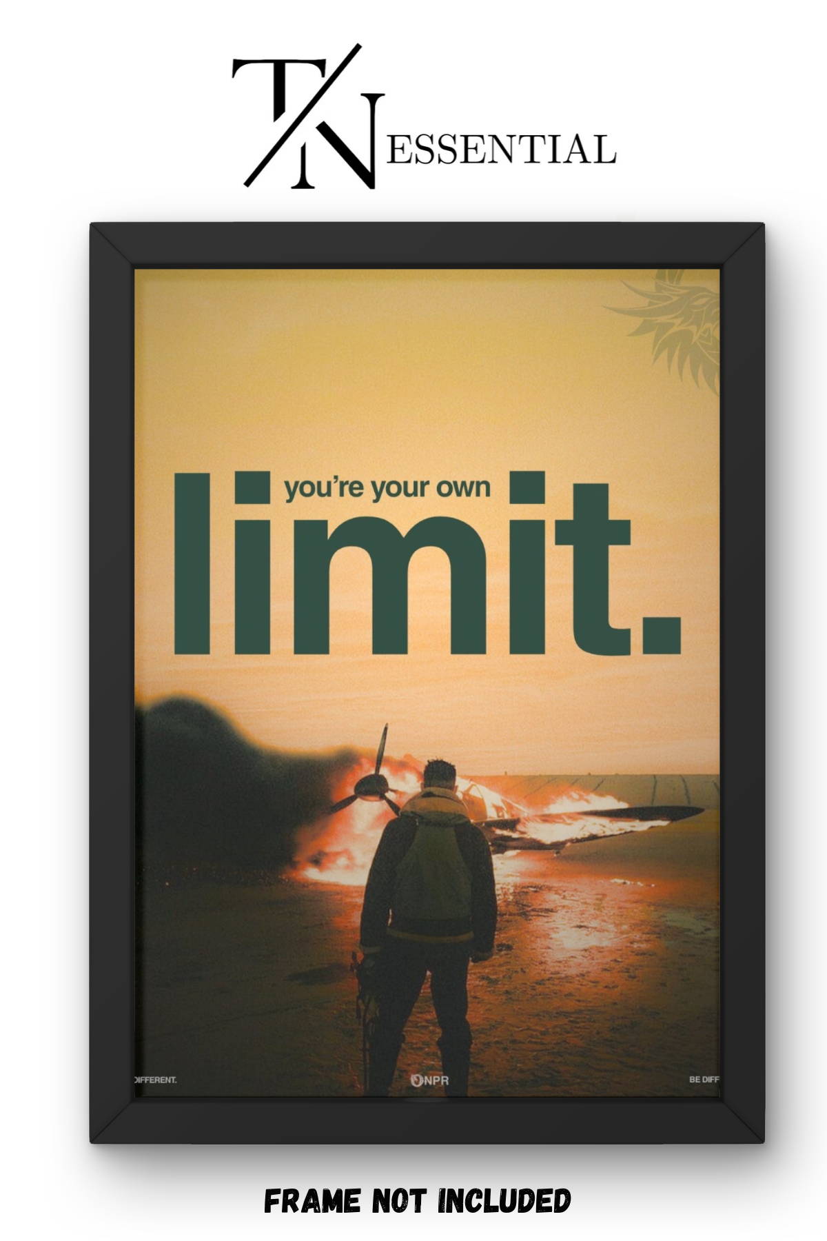 OWN YOUR LIMIT DARK AESTHETIC TRANSFORMATION POWER CANVAS POSTER