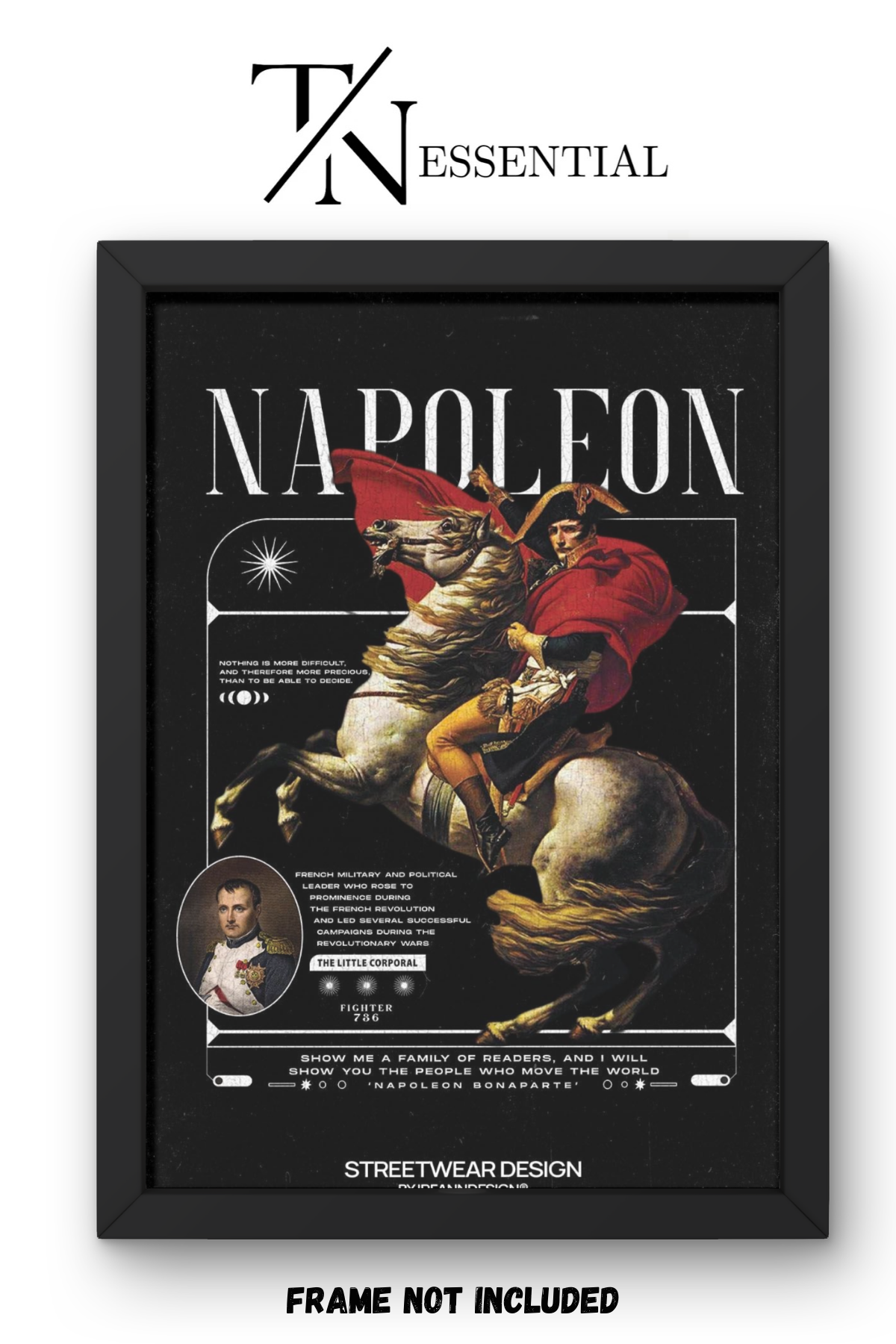 FRENCH EMPEROR NAPOLEON ICONIC POWER DESIGN AESTHETIC CANVAS POSTER