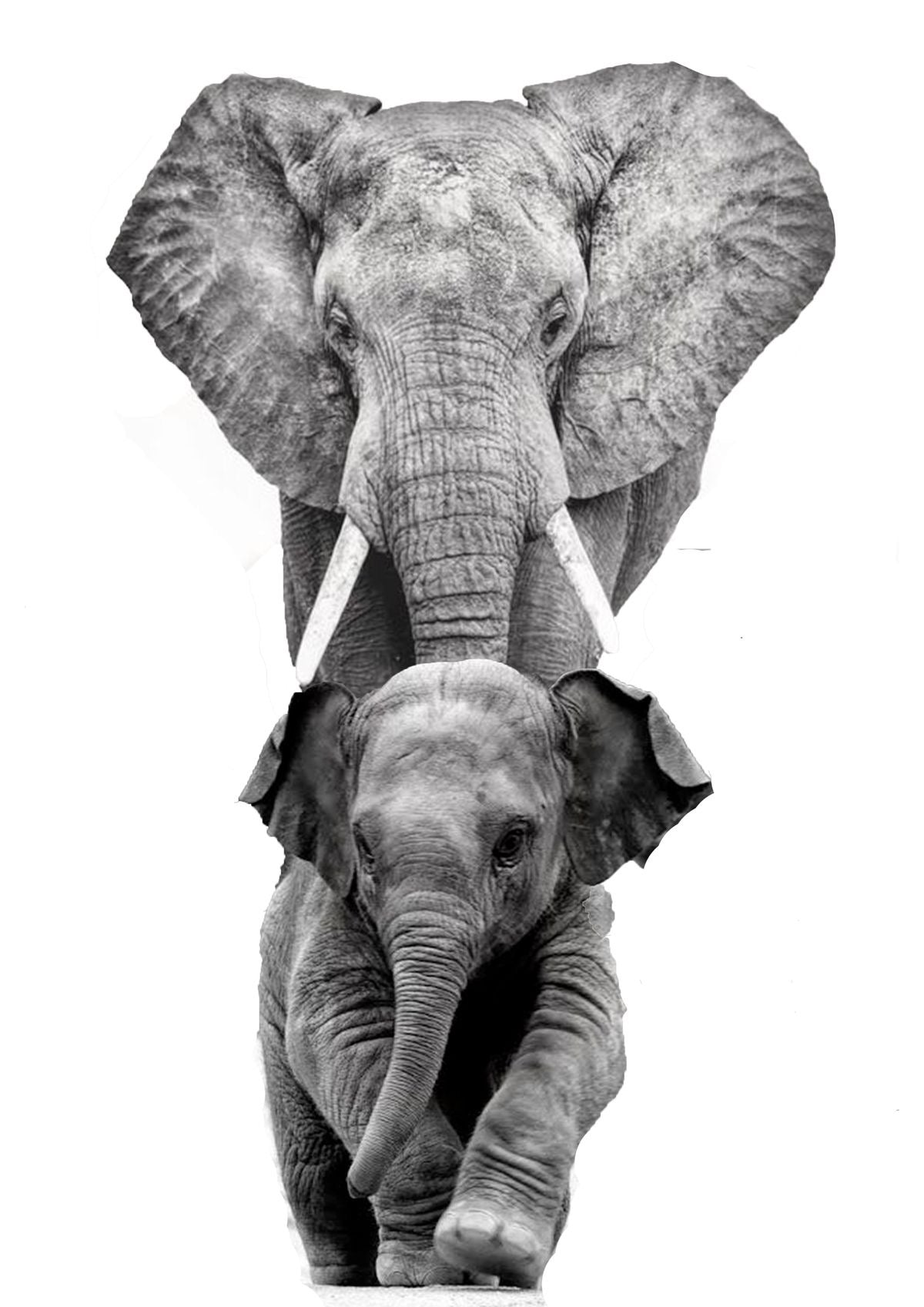ELEPHANT MOTHER AND BABY CANVAS POSTER