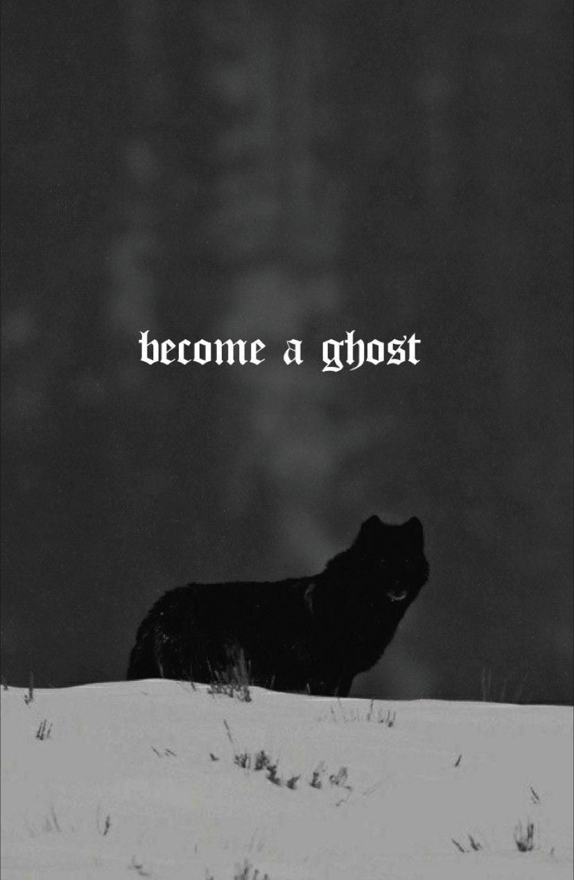 LONE WOLF GHOST CANVAS POSTER