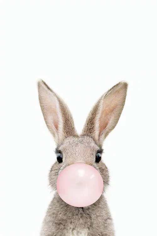 CUTE RABBIT POP CANVAS POSTER
