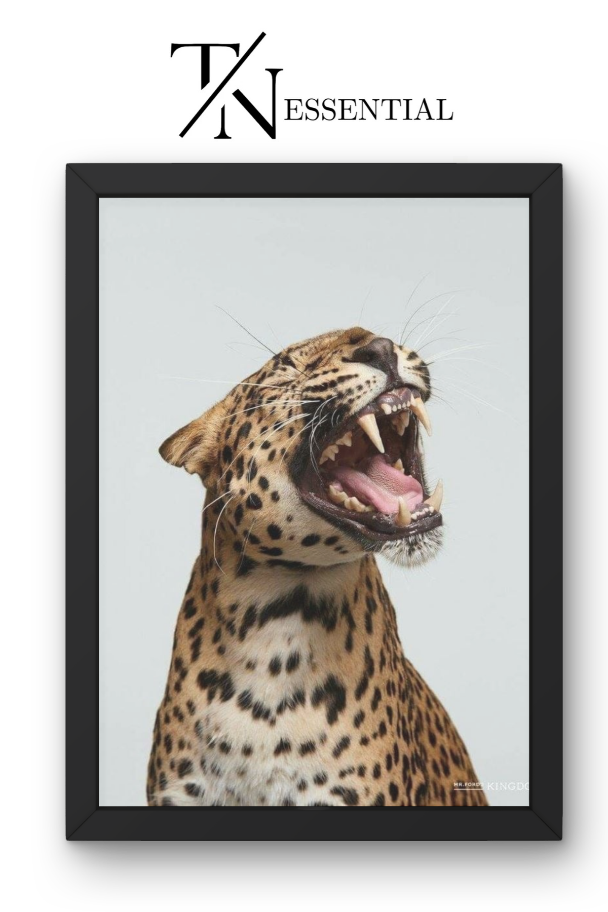 ROARING LEOPARD WILDLIFE CANVAS POSTER