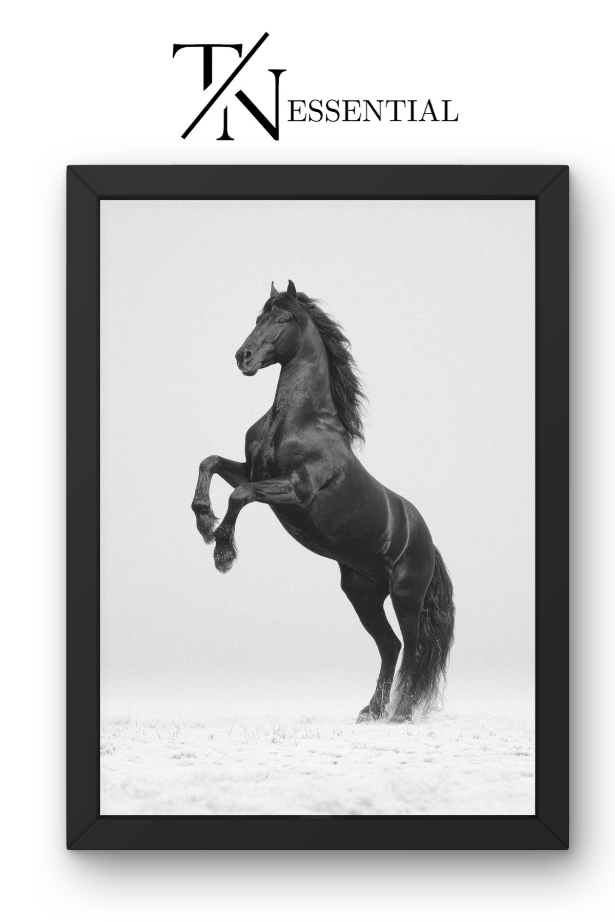 MAJESTIC REARING BLACK STALLION CANVAS POSTER