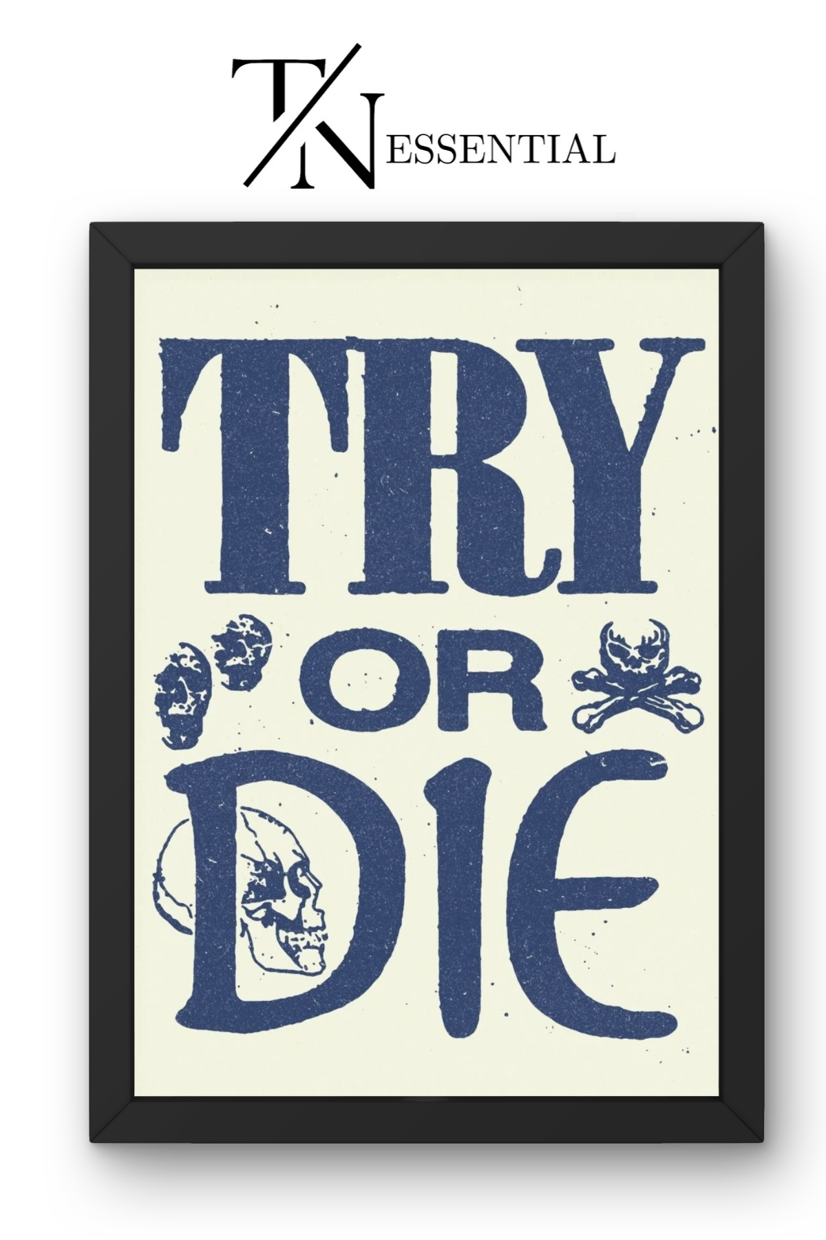 AESTHETIC MOTIVATIONAL "die or try" CANVAS POSTER