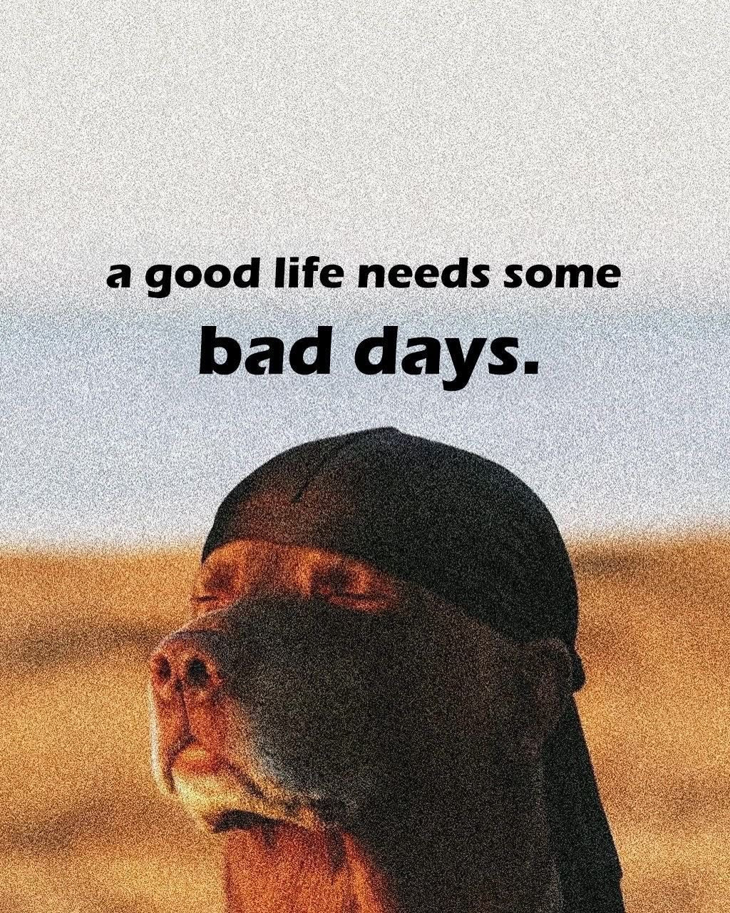 FUNNY "A GOOD LIFE NEEDS BAD DAYS" DOG CANVAS POSTER