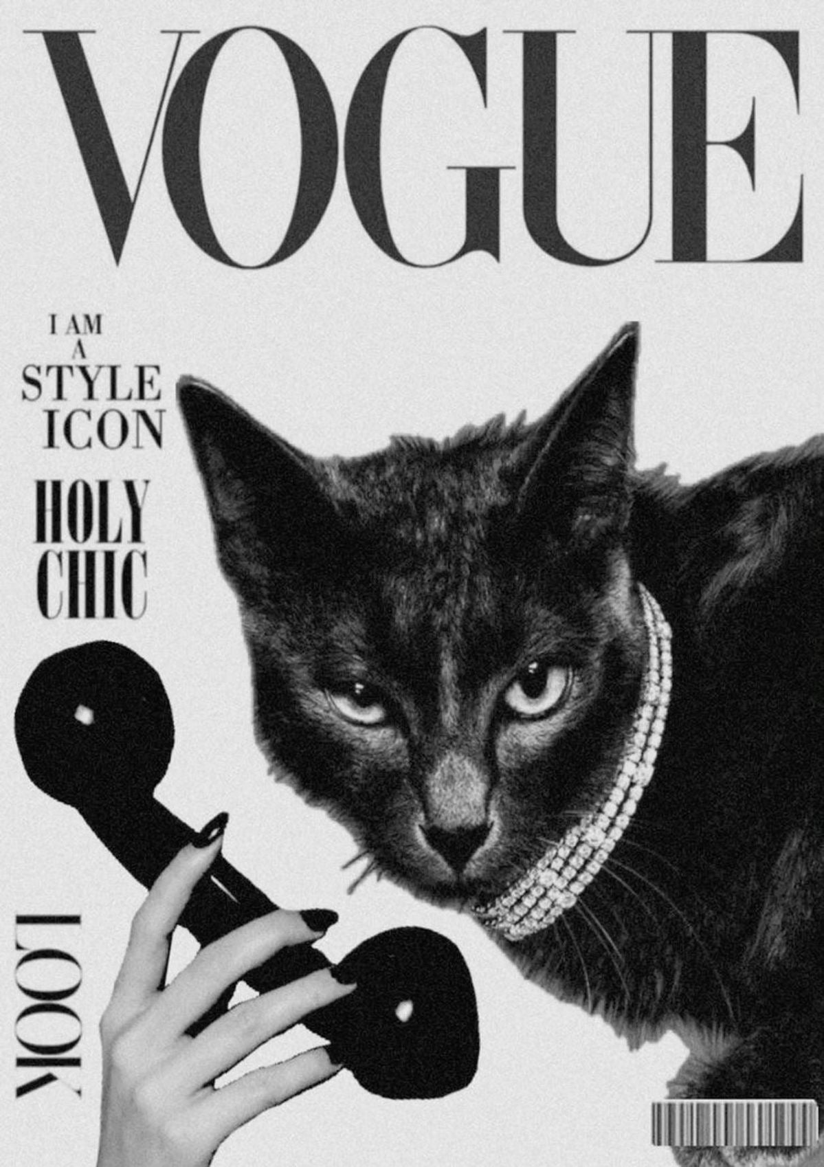 CUTE VOGUE CAT CANVAS POSTER
