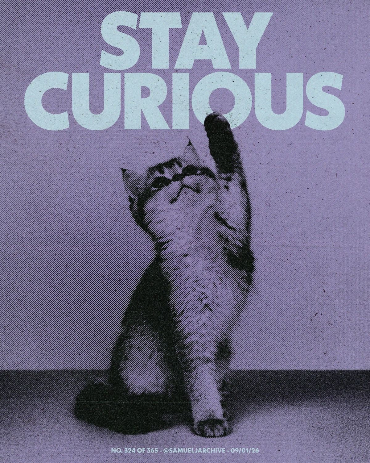 CUTE "STAY CURIOUS" CAT CANVAS POSTER
