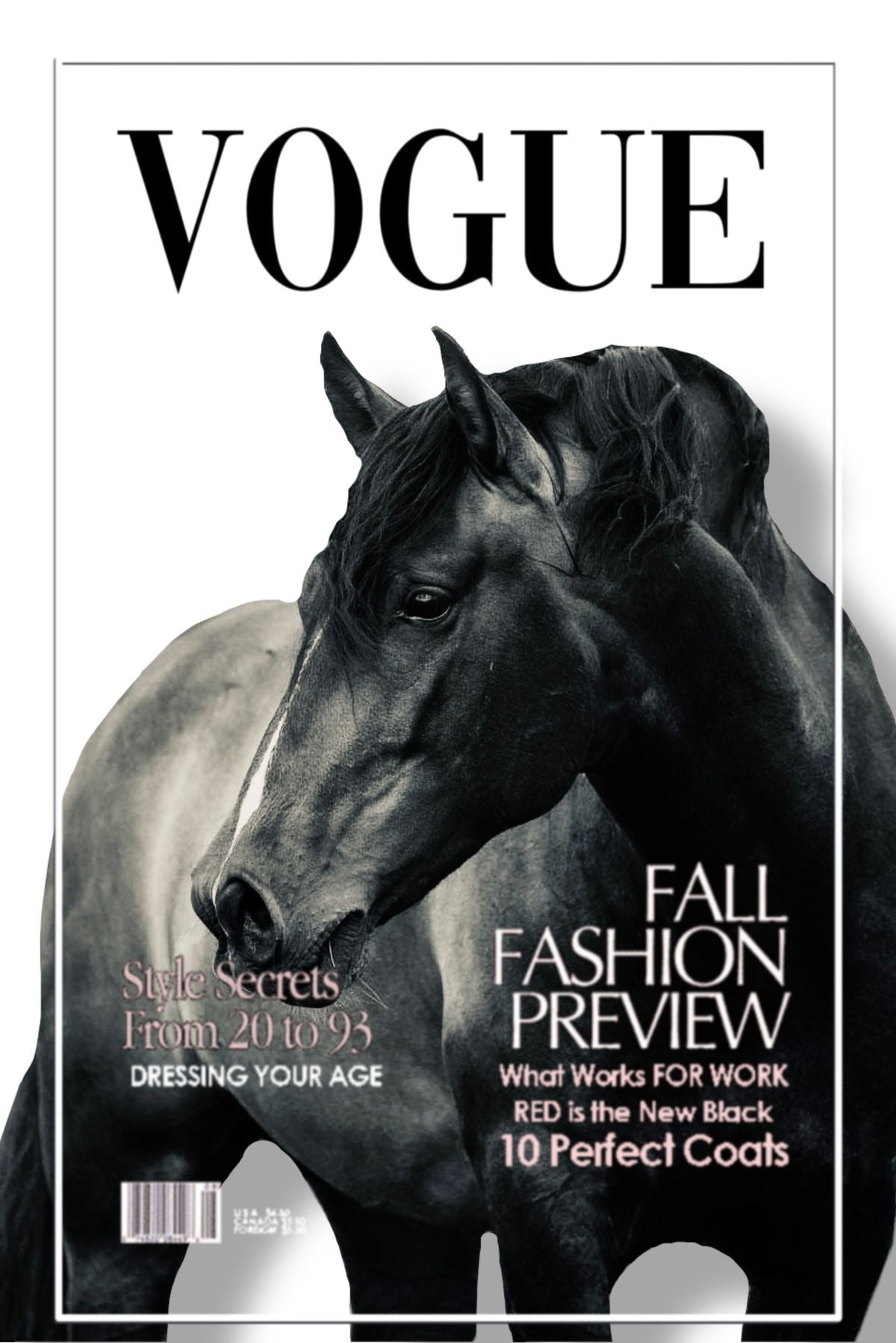 BLACK STALLION VOGUE AESTHETIC CANVAS POSTER