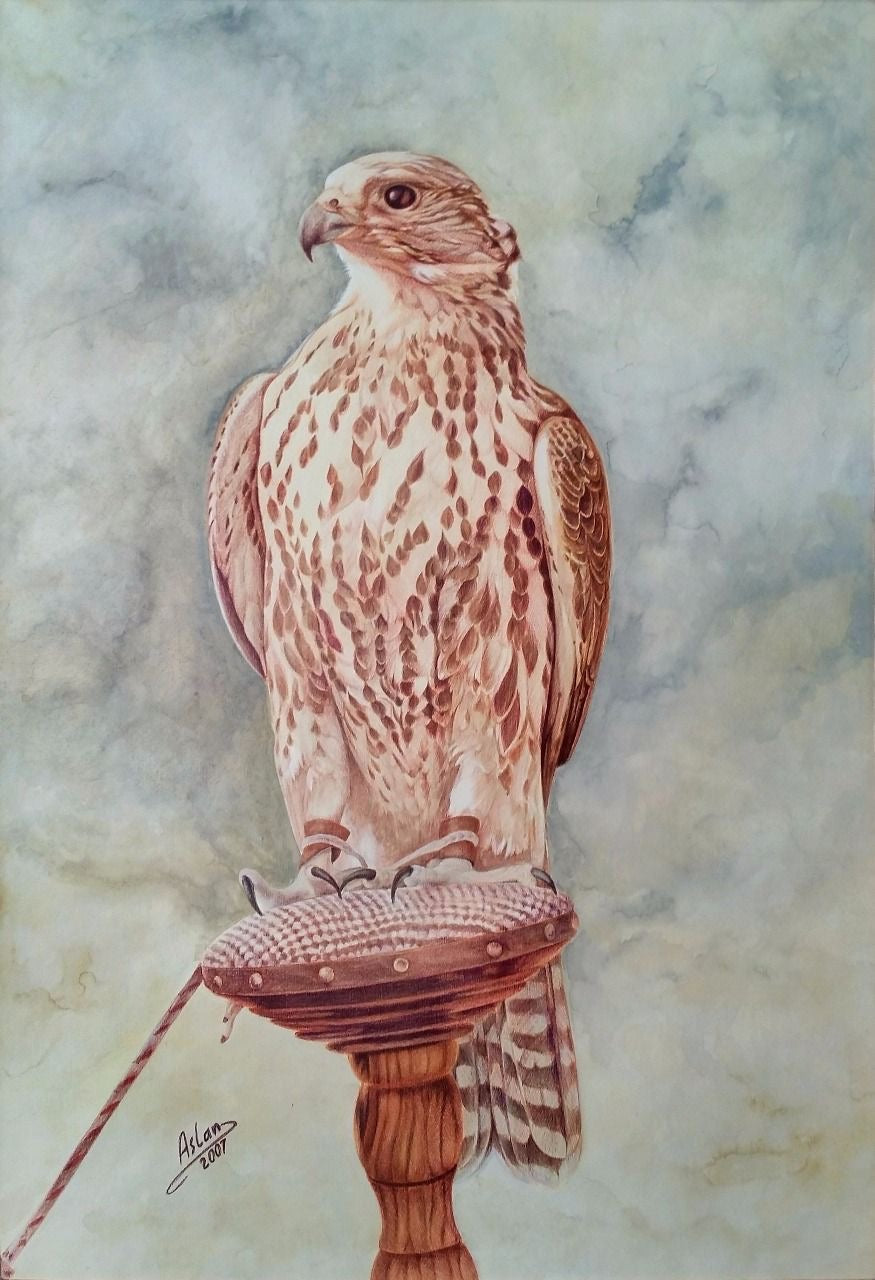 FALCONRY LEGACY MAJESTIC RAPTOR ARABIAN CULTURE CANVAS POSTER