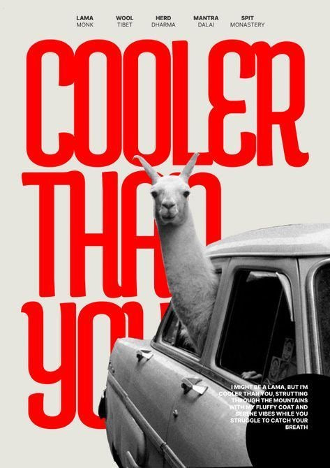 COOLER THAN YOU LLAMA ATTITUDE VINTAGE CAR AESTHETIC CANVAS POSTER