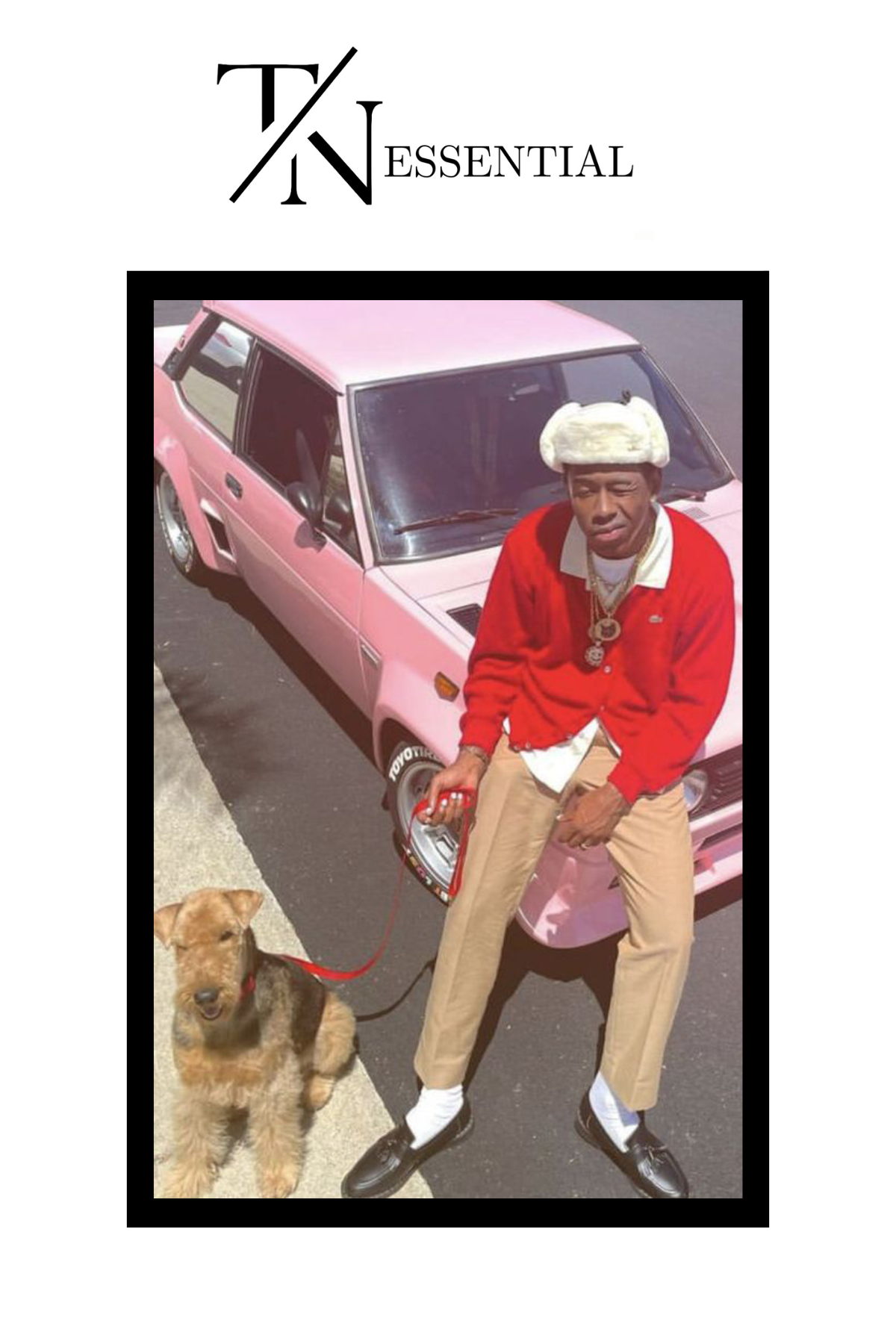 TYLER THE CREATOR CANVAS POSTER