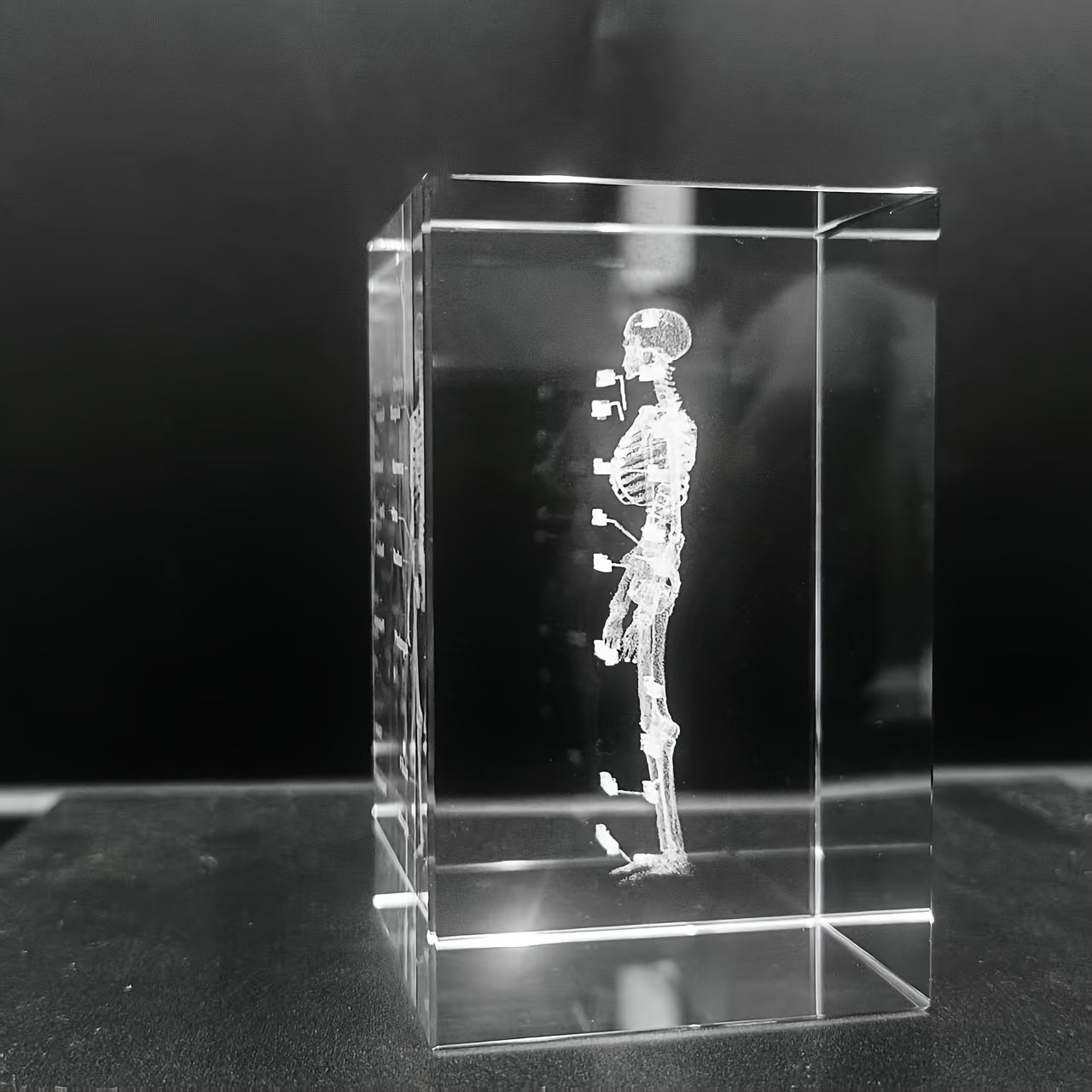 Tnessential Crystal Carved Human Skeleton Ornament 3D Decor