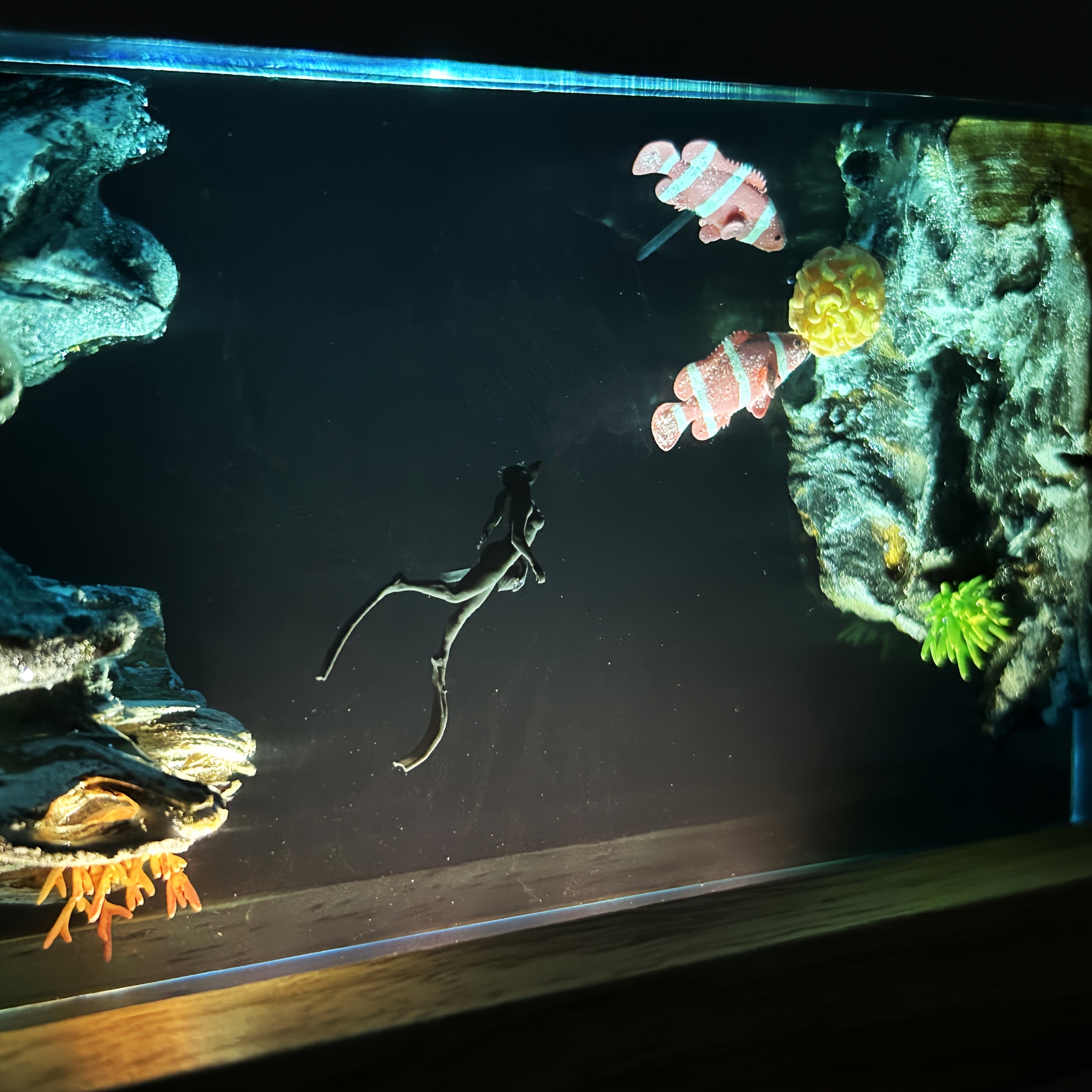 Tnessential Handcrafted Ocean Resin Art Pieces 3D Decor