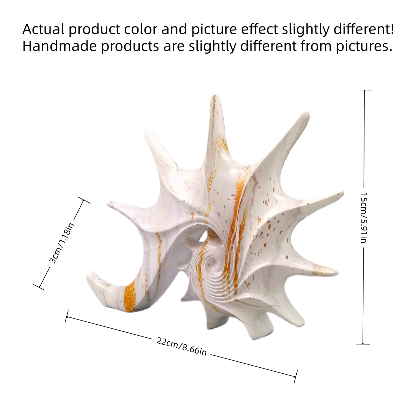 Tnessential Creative Geometric Aesthetic Classic Seashell Decorative 3D Decor