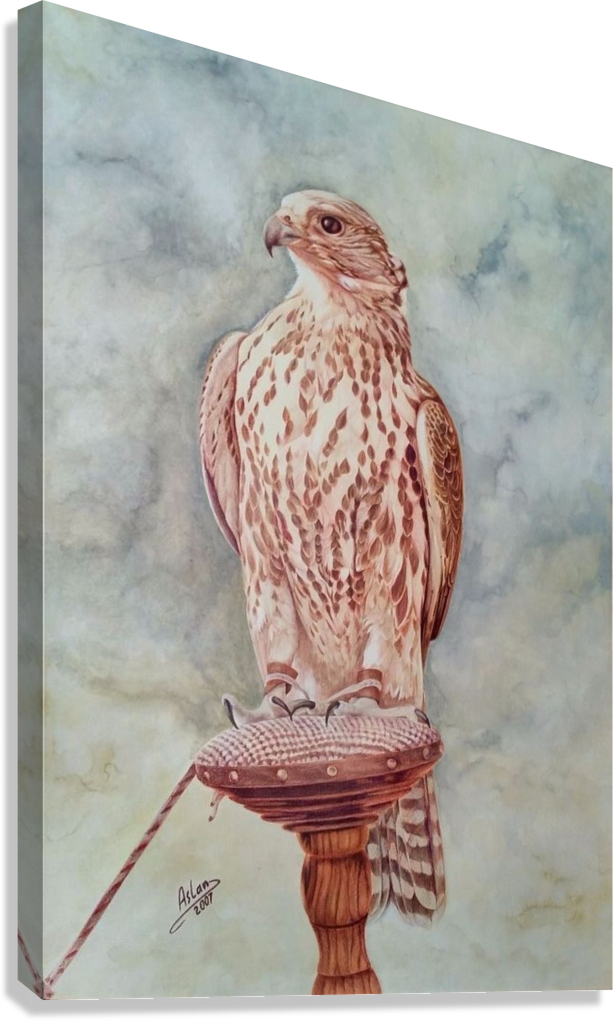 FALCONRY LEGACY MAJESTIC RAPTOR ARABIAN CULTURE CANVAS POSTER