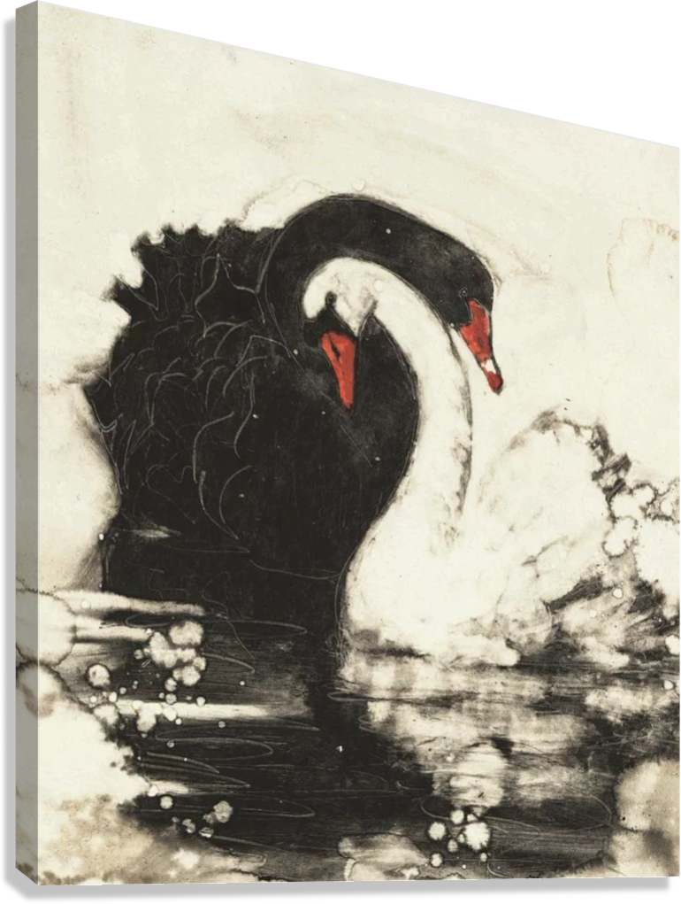 BLACK AND WHITE SWAN VINTAGE CANVAS POSTER