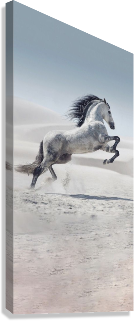 ARABIAN HORSE SAND DUNES CANVAS POSTER