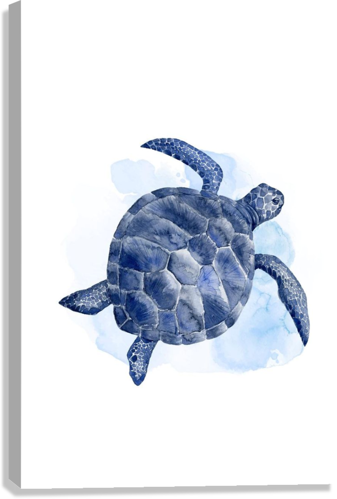 BLUE SEA TURTLE CANVAS POSTER