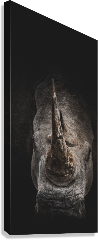 WILDLIFE RHINO PHOTOGRAPHY CANVAS POSTER