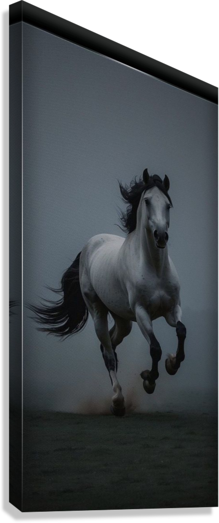 MAJESTIC HORSE PHOTOGRAPHY CANVAS POSTER