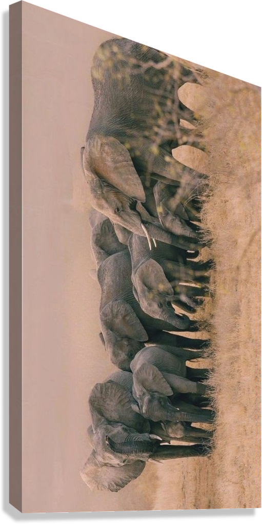 ELEPHANT HERD SAFARI CANVAS POSTER