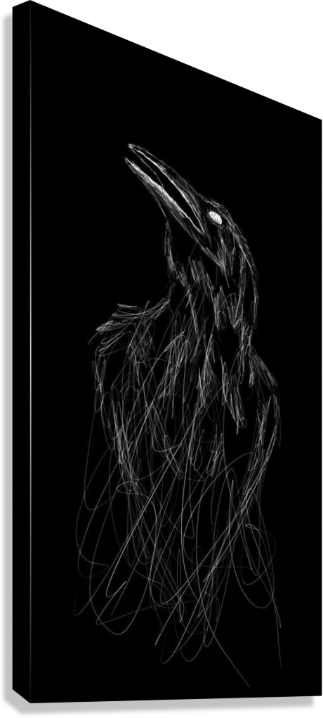 RAVEN IN THE VOID CANVAS POSTER