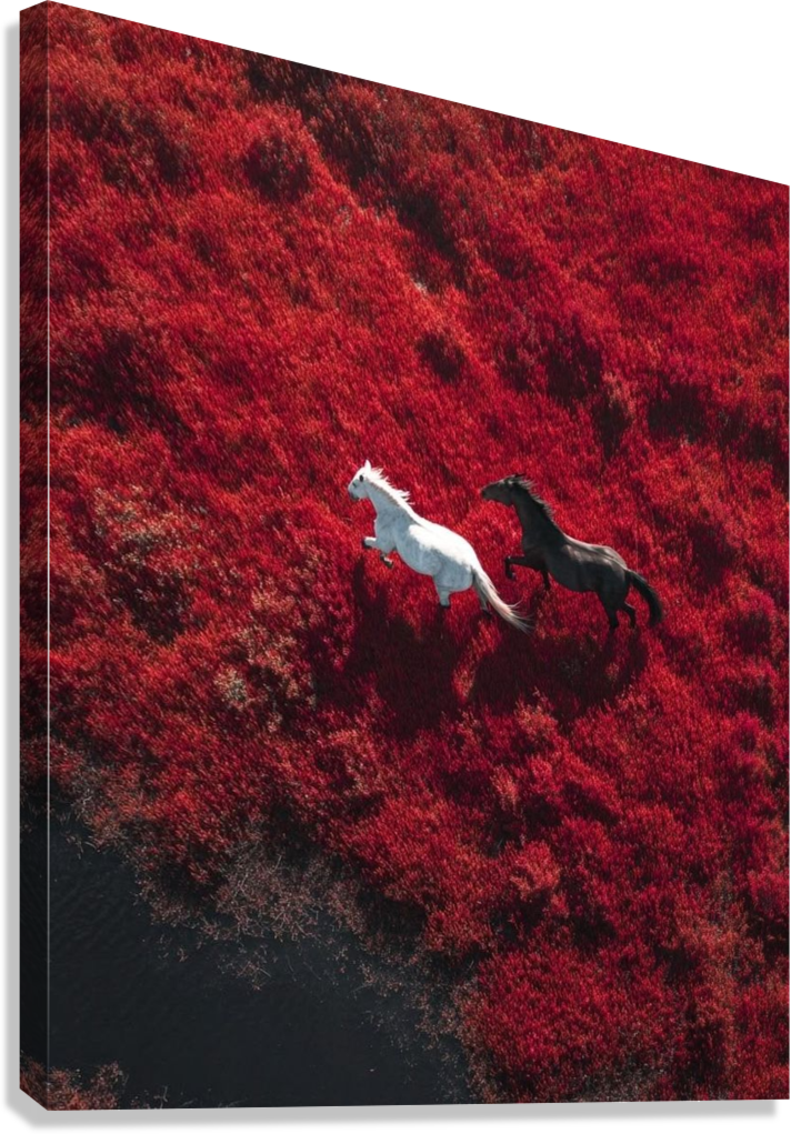 WILD HORSES BLOOM CANVAS POSTER