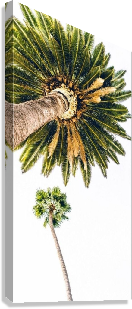 SUMMER PALM SILHOUETTE CANVAS POSTER