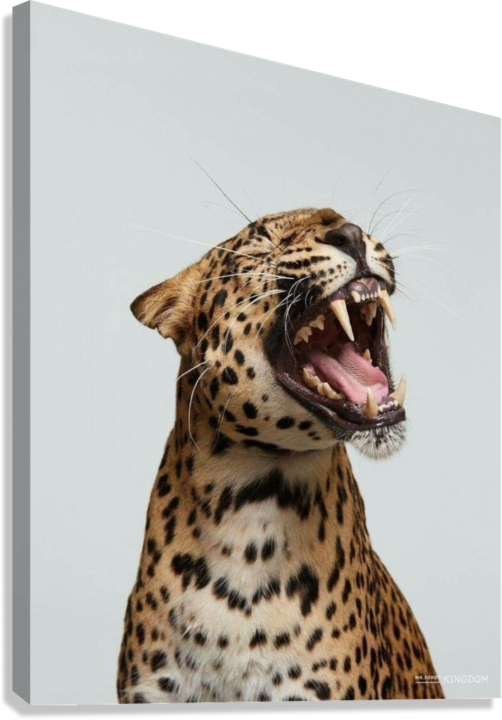 ROARING LEOPARD WILDLIFE CANVAS POSTER