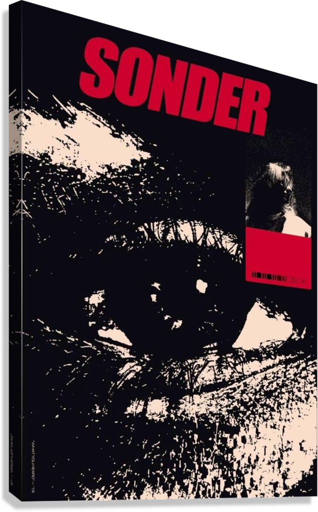 SONDER CANVAS POSTER