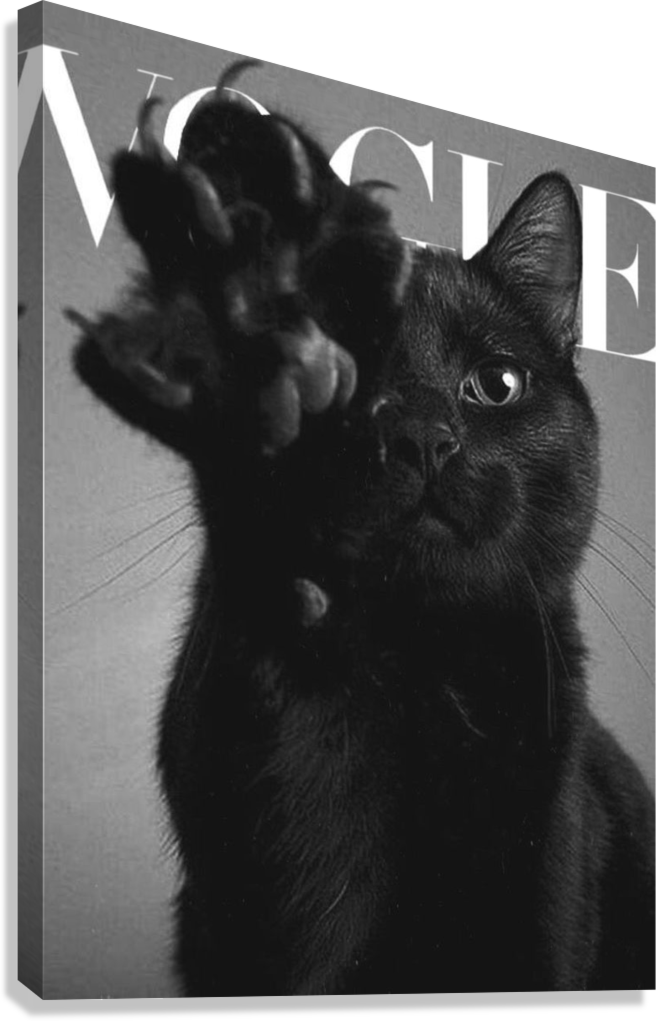 CUTE VOGUE INSPIRED CAT CANVAS POSTER