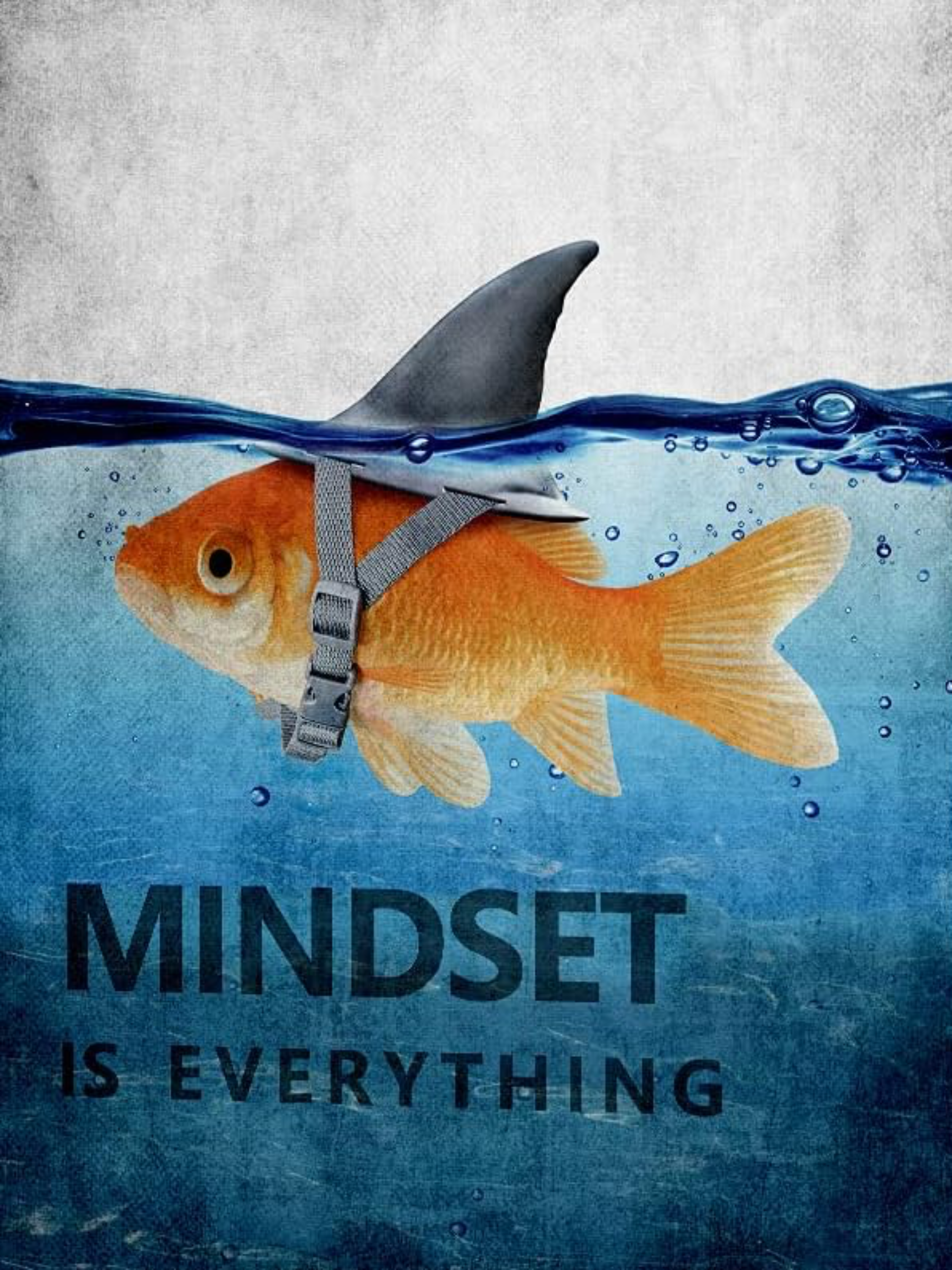 MOTIVATIONAL CANVAS POSTER GOLD FISH "MINDSET IS EVERYTHING"