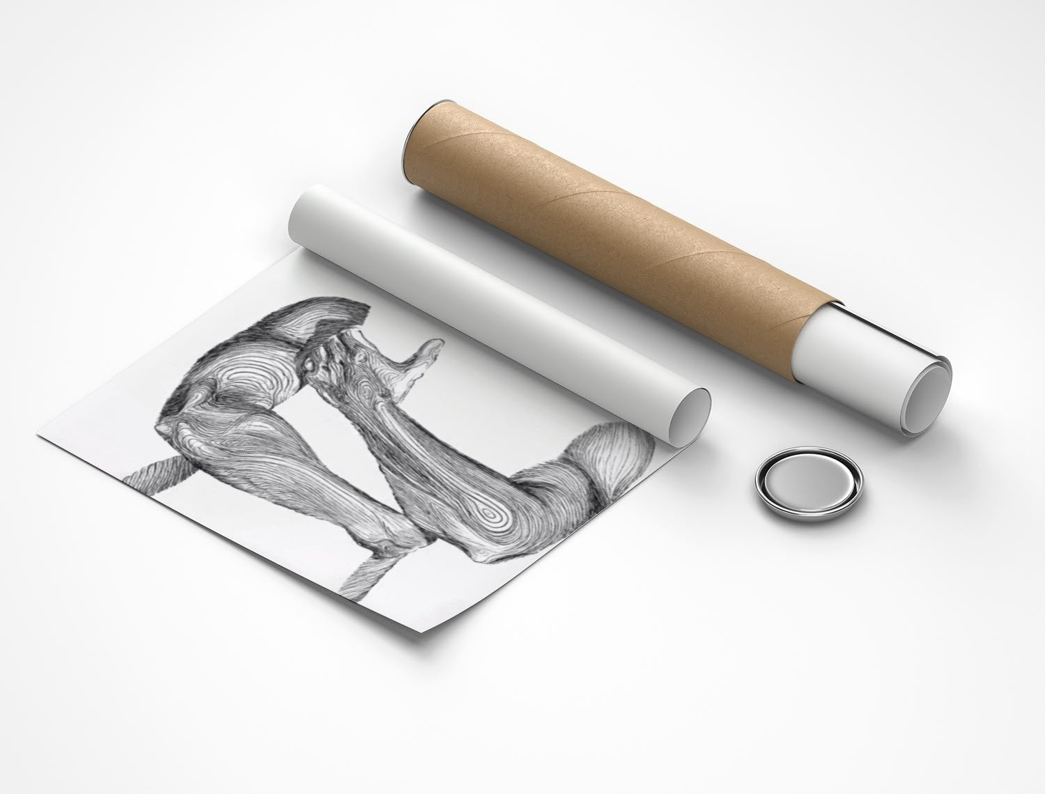 Rolled poster